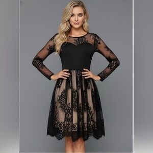 Lace Mesh Sheer Overlay Knee-length Dress Black